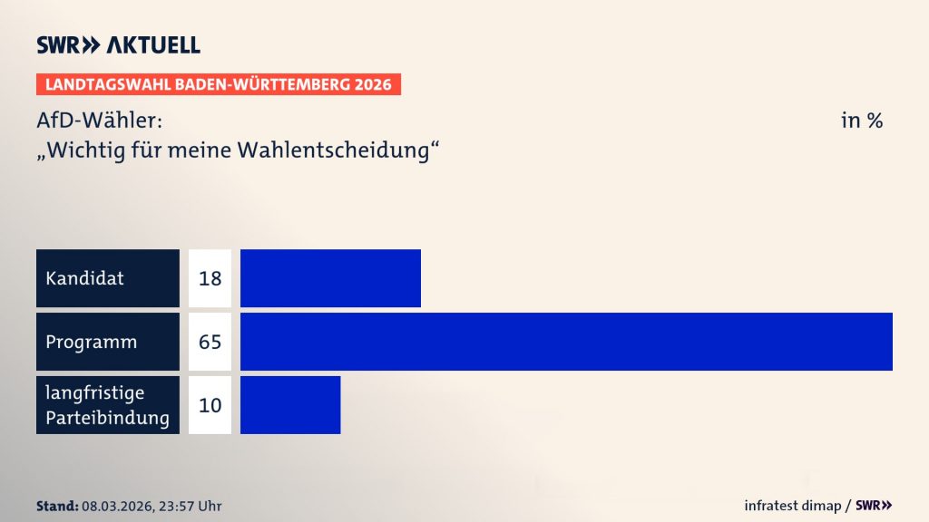 Landtagswahl 2026: Wichtig für die Wahlentscheidung der AfD-Wähler