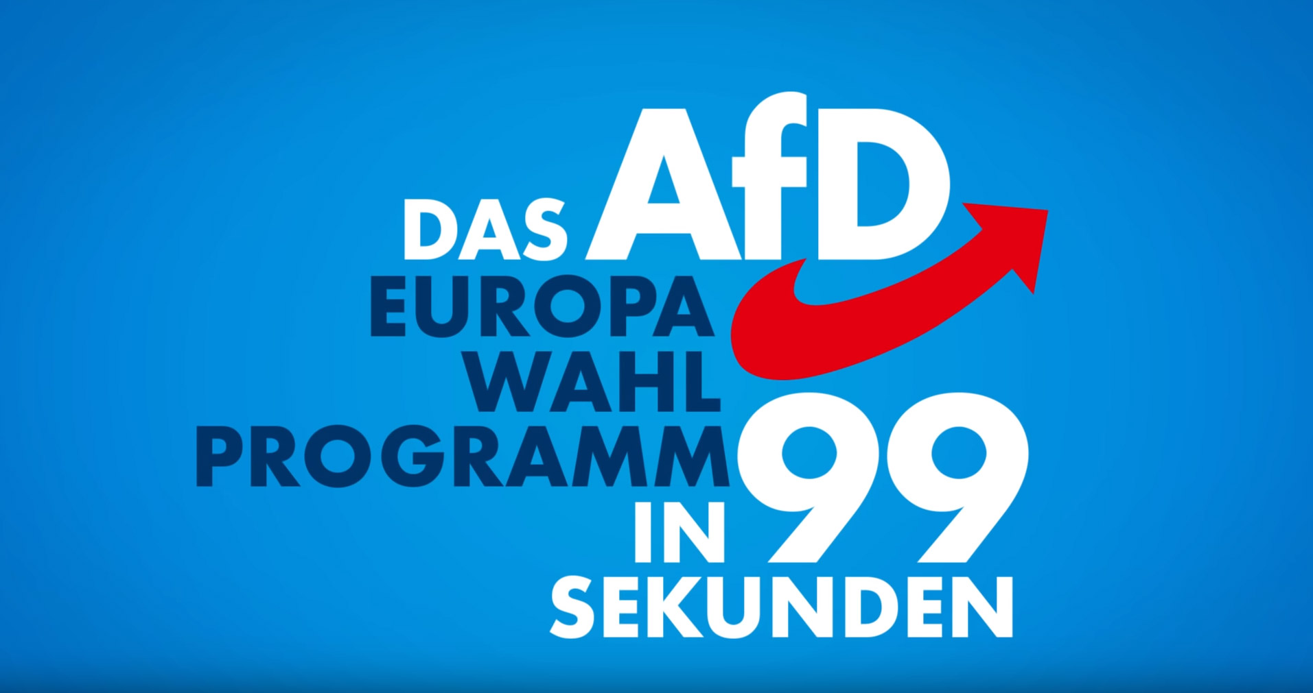 Das AfD EU-Programm in 99 Sekunden